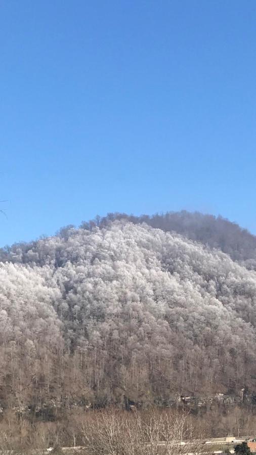 Pine Mountain Inn Pineville Ngoại thất bức ảnh